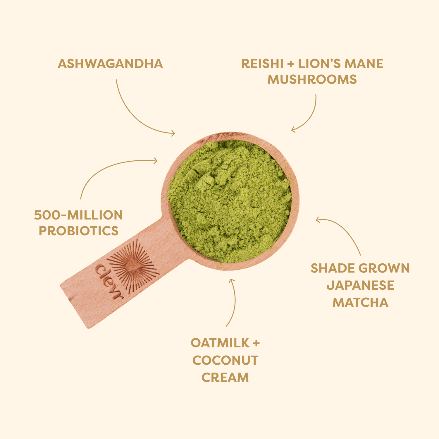 Matcha_graphic.png
